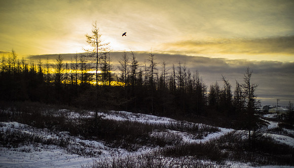 Kuujjuaq