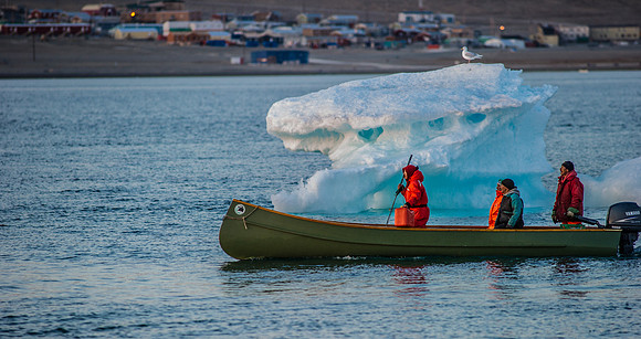 Beluga Hunting